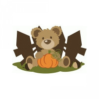 ppbn bear in pumpkin patch