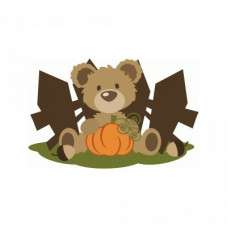 ppbn bear in pumpkin patch