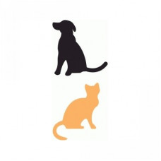 dog & cat