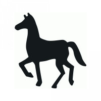 horse