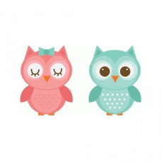 owls