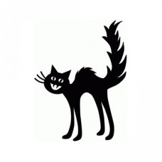 fraidy cat