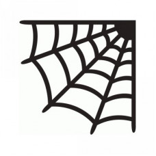 spider web