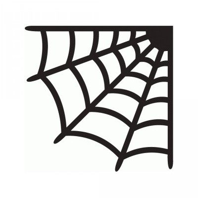 spider web