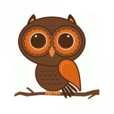 fall owl