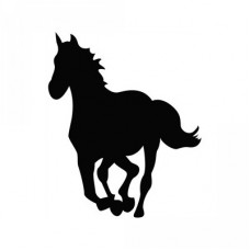 horse