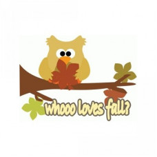 fall owl