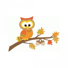 owl on branch