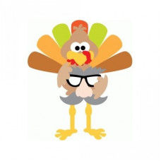 turkey with disguise