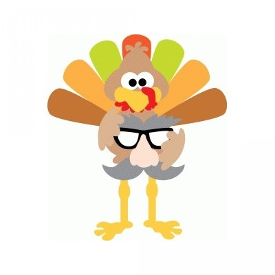 turkey with disguise