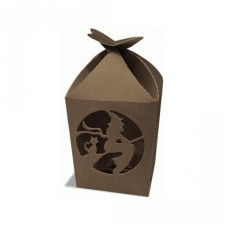 box witch carton