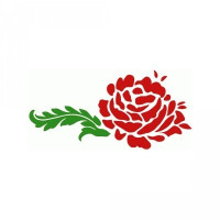 sweet rose sweet rose