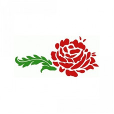 sweet rose