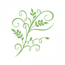 leaf flourish