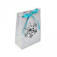 snowflake gift bag