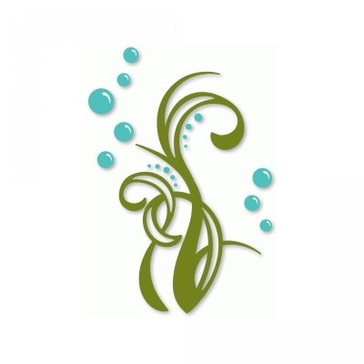 seaweed seaweed