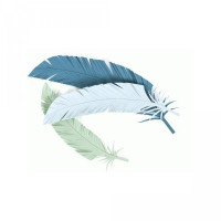 feathers feathers