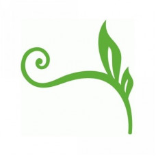 swirl and leaves