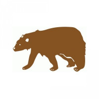 bear