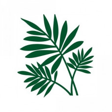 three ferns
