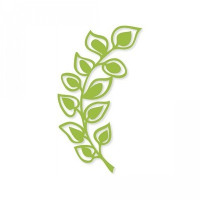 fern fern
