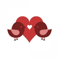 2 love birds with heart 2 love birds with heart