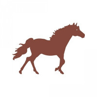 horse horse