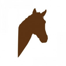 horse portrait