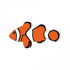 tropical fish