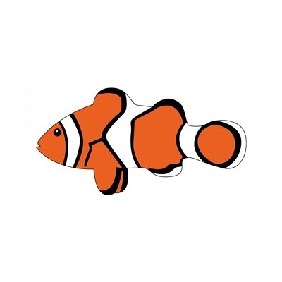 tropical fish