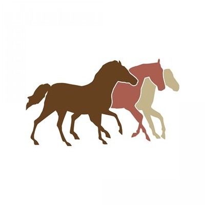 three horses