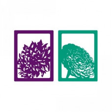 2 framed flowers
