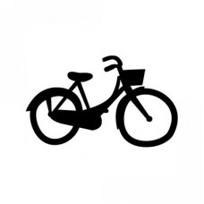 dear lizzy bicycle