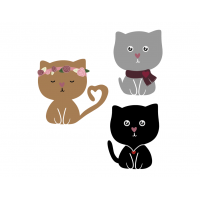 Cats Cats