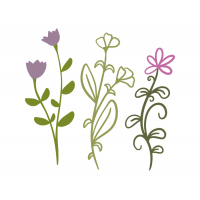 Flowers Flowers