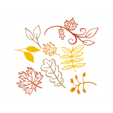 Fall leaves