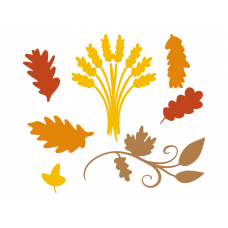 Fall leaves