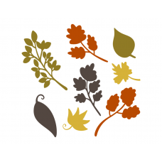 Leaves