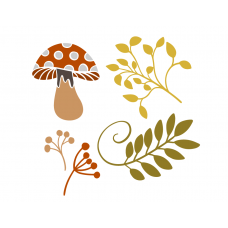 Autumn leaves