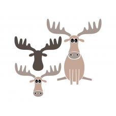 Little moose