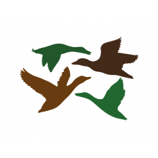 Ducks silhouette