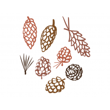 Pinecones