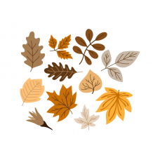 Autumn Leaves