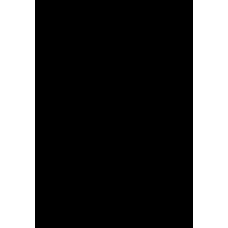 sct2916